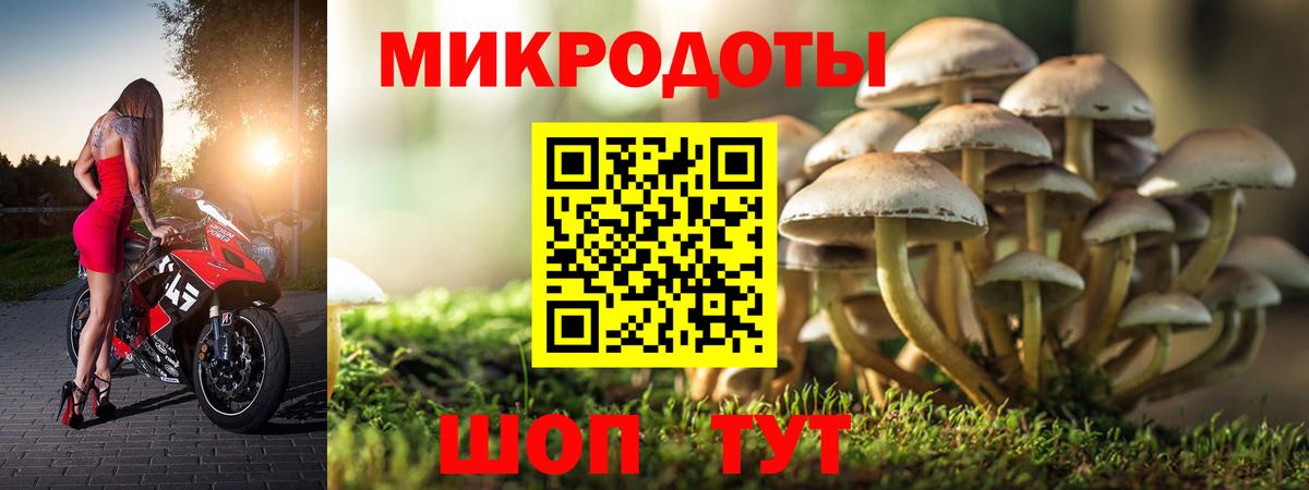 Лысьва  Галлюциногенные грибы Psilocybine cubensis  Вход с VPN 