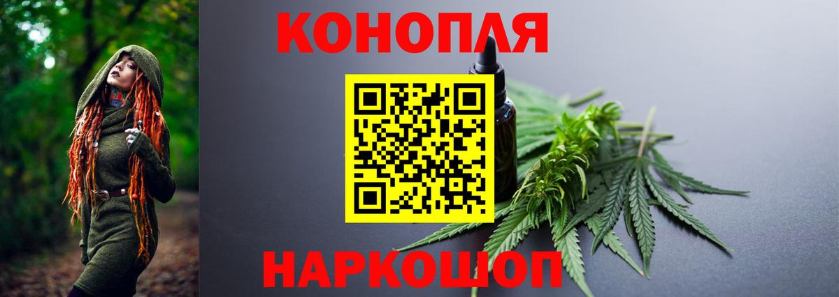 Бошки Шишки планчик  Канабис сатива  Бошки марихуана марихуана  Лысьва  Вход с VPN  Бошки Шишки SATIVA & INDICA 